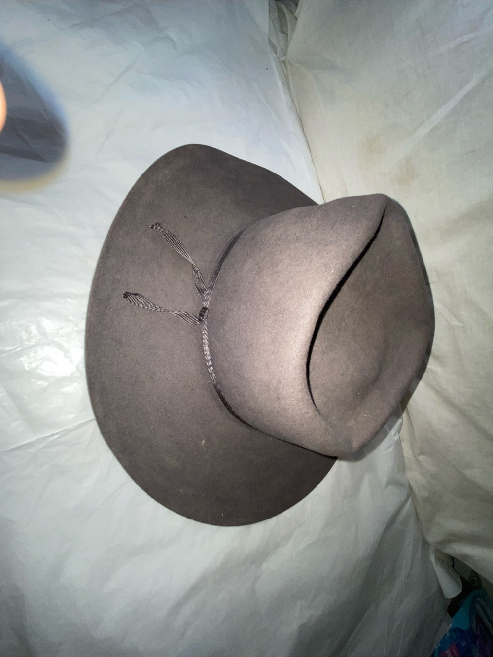 Women's Wide-Brim Felt Fedora in Brown
